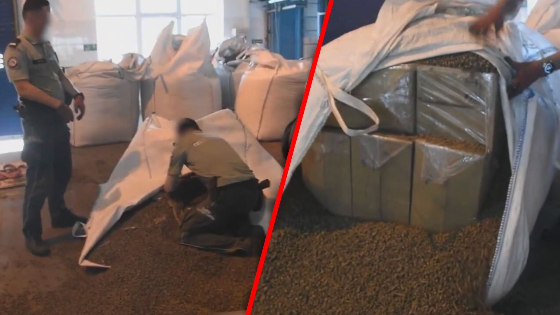 Niespodzianka w pellecie. Odkrycie na białoruskiej granicy