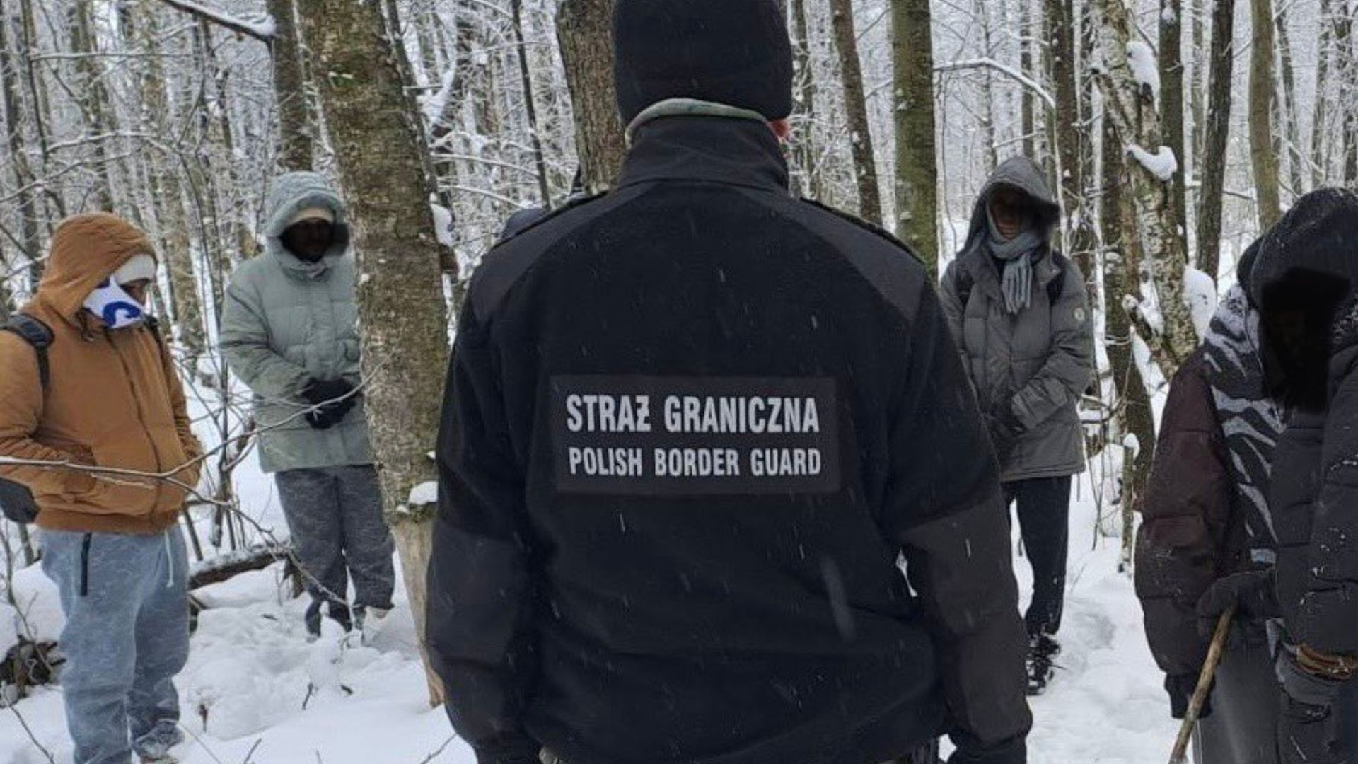 Złapali 12 migrantów na Podlasiu. Ukraiński kierowca już na nich czekał