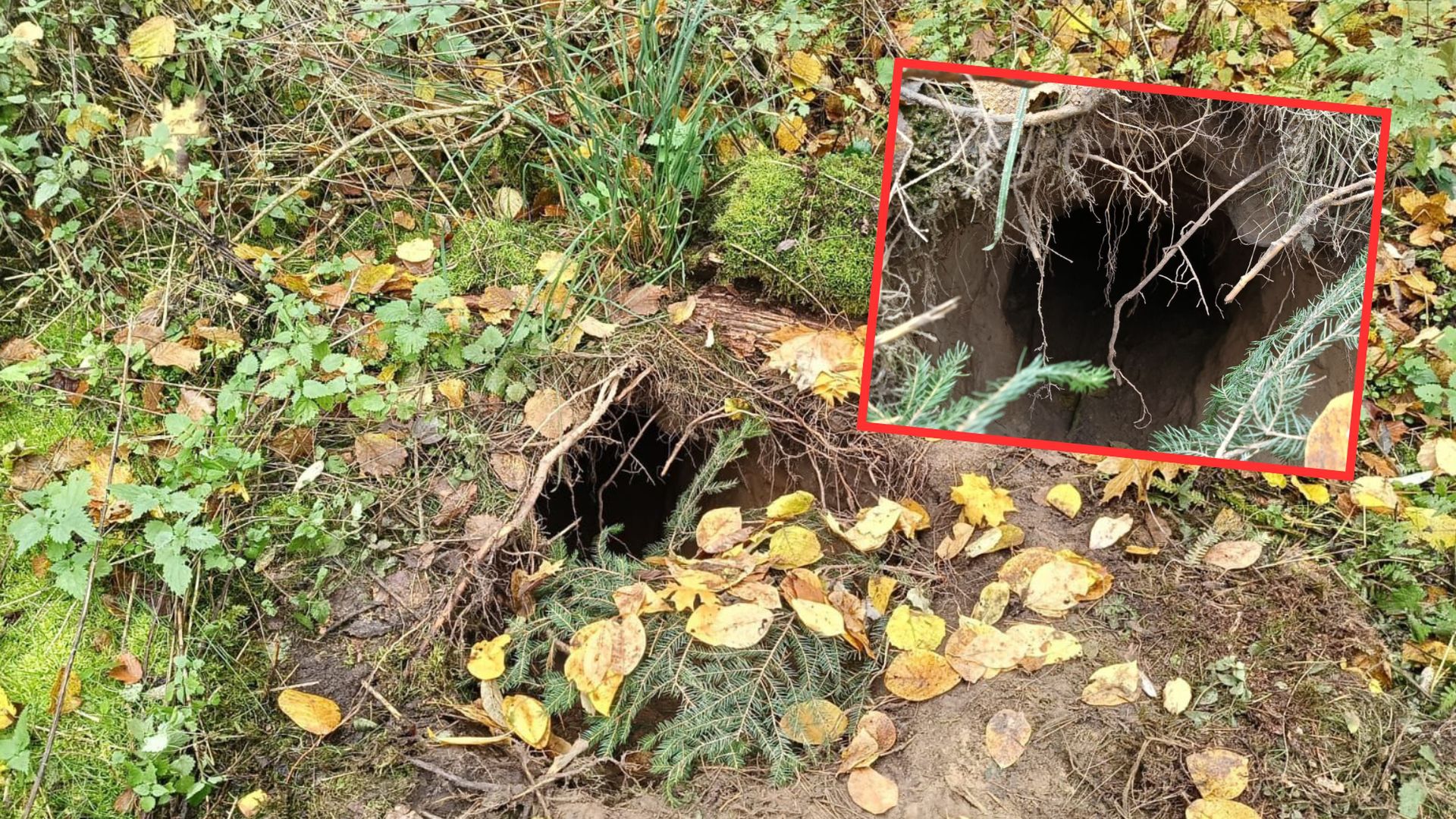 Odkryli tunel wykopany pod polską granicą. Pokazali nagranie