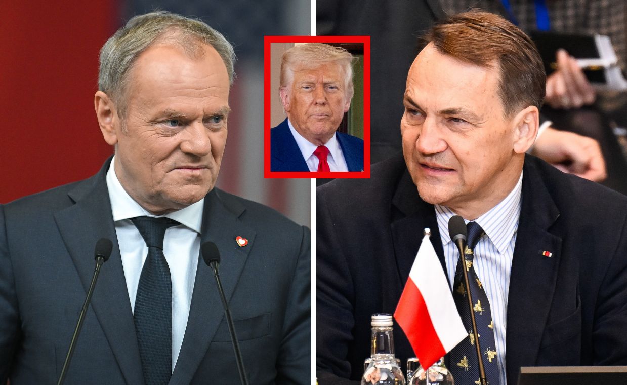 "Nie dorośli do polityki". Wziął na tapet słowa Tuska i Sikorskiego