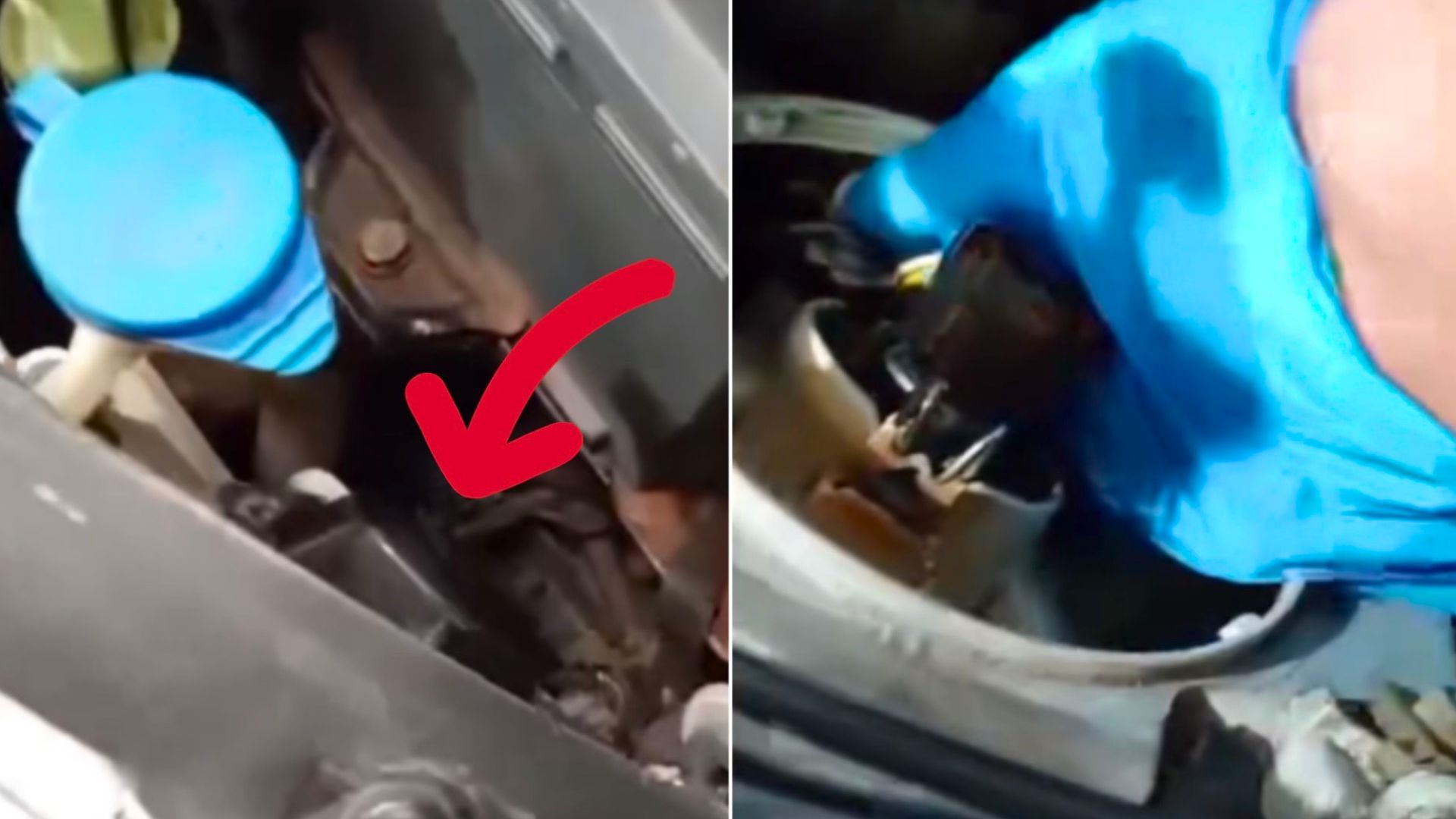 Odkrycie pod maską pojazdu. Kierowca miał skrytkę w lampie