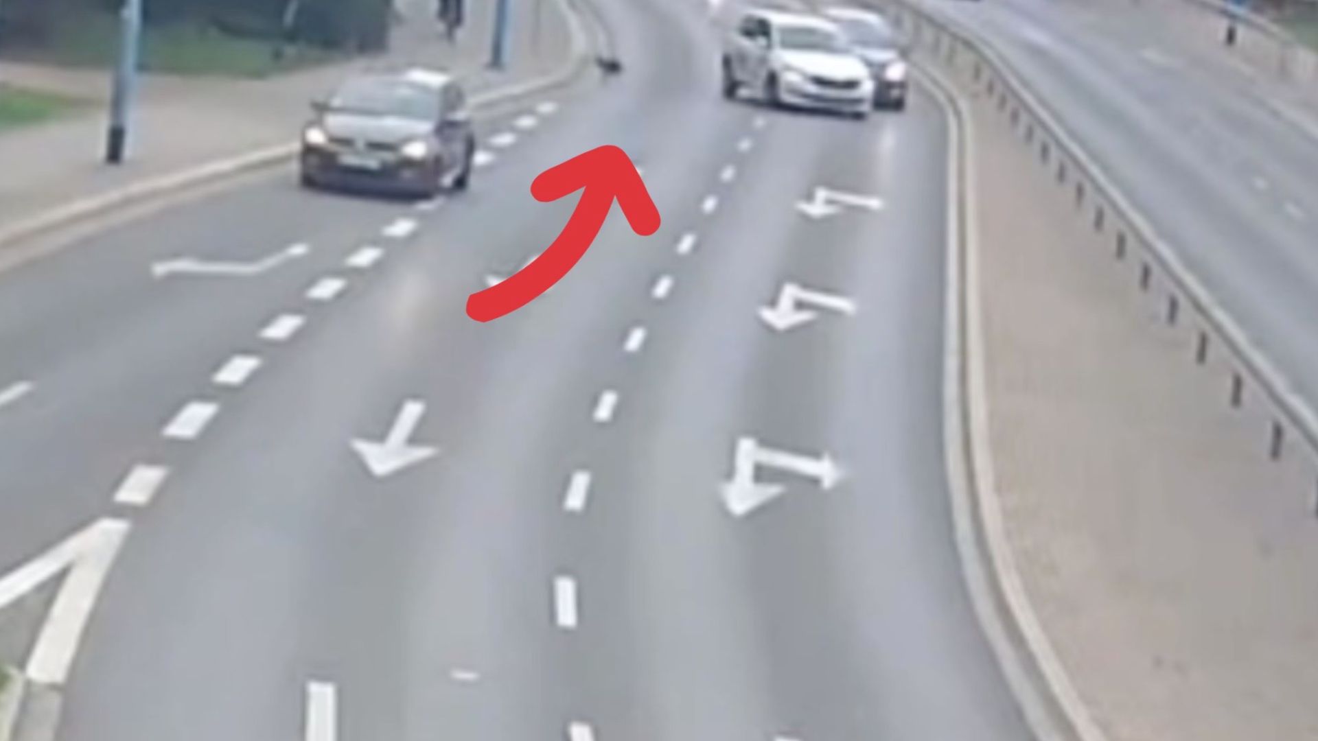 Pies wbiegł na drogę. Kobieta skręciła w ostatniej chwili