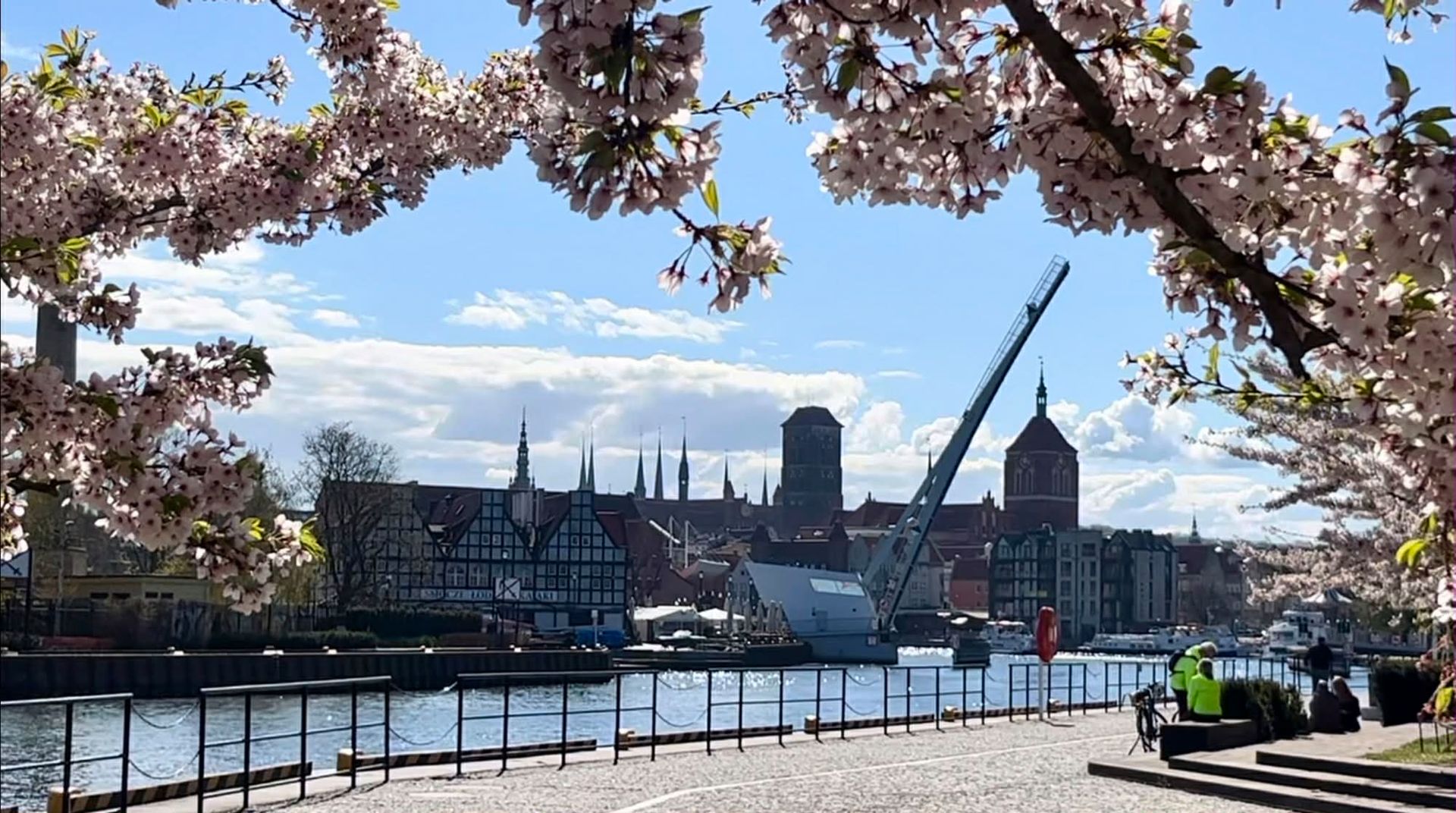 Nowa atrakcja w polskim mieście. Turyści zachwyceni. Trzeba się jednak spieszyć