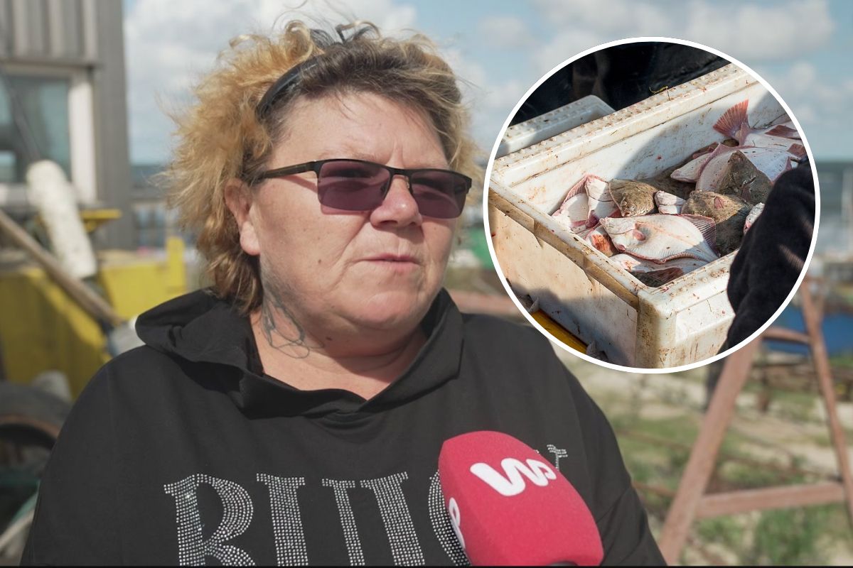 Flądra, dorsz, a może coś innego? Żona rybaka szczerze o rybach z Bałtyku