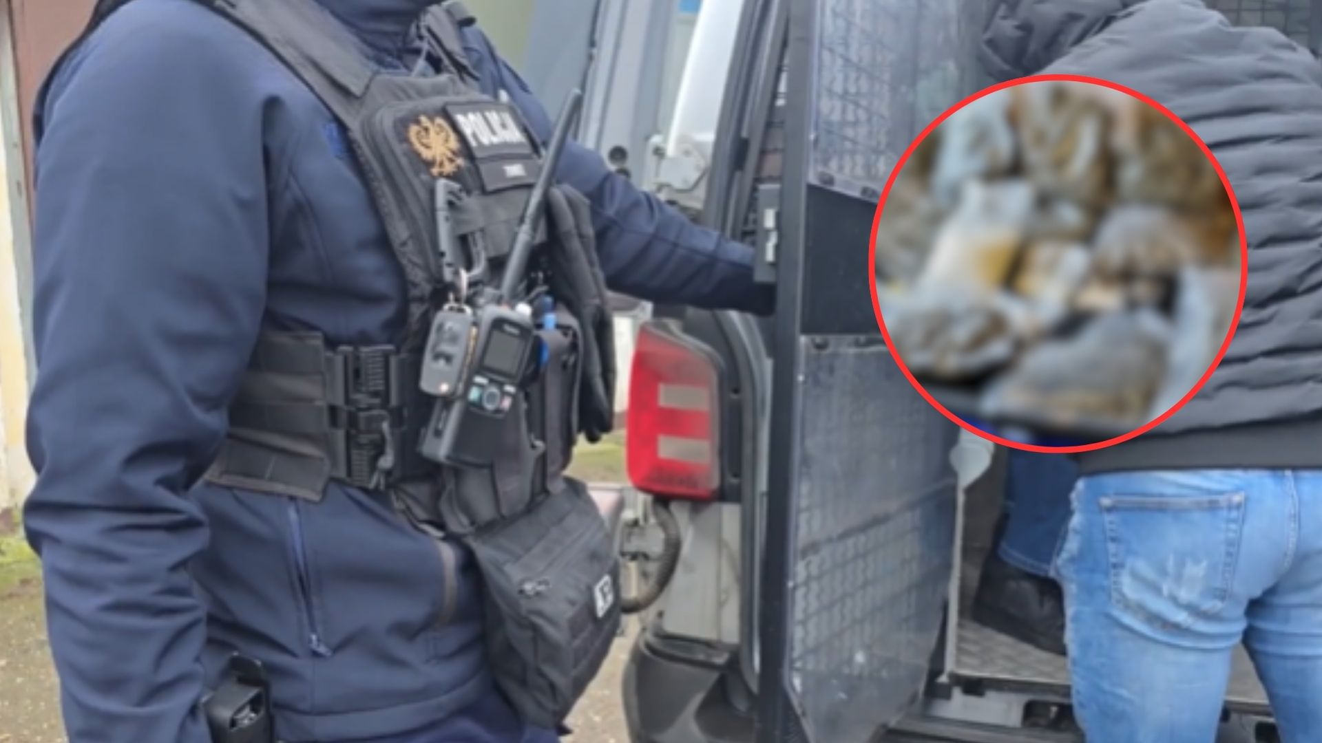 Pseudokibice przyłapani. Mieszkańcy Oławy znowu bezpieczni