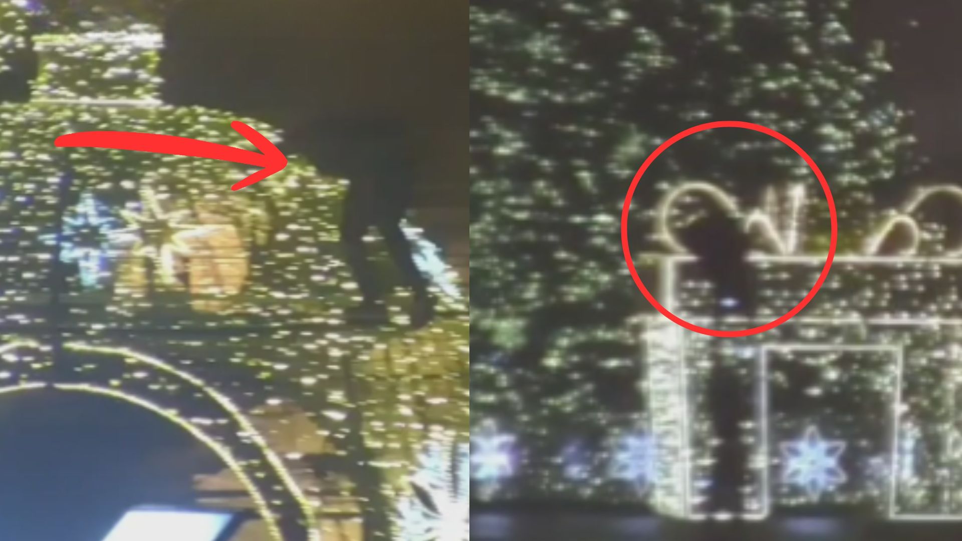 Wygłupy na dekoracjach świątecznych. Teraz cała Polska zobaczy, co zrobili