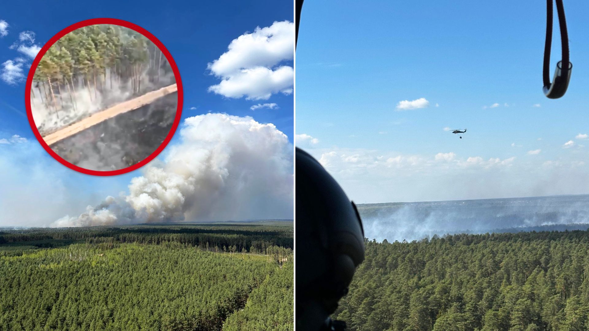 Druzgocący widok z Roztocza. Wielki pożar lasu nagrany z powietrza