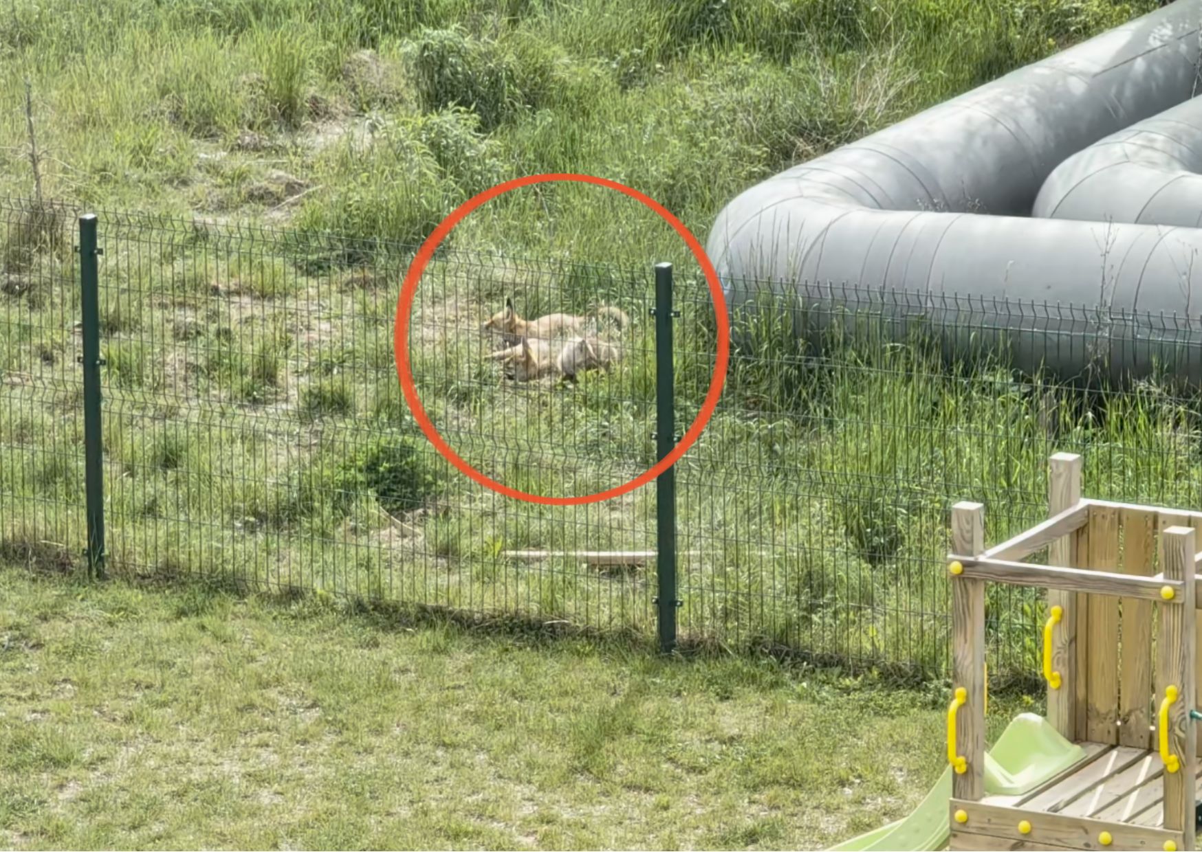 Wideo z Gdańska. Oto co dzieje się na osiedlu