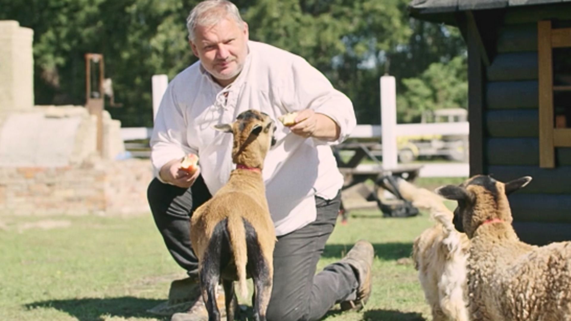 Wyjątkowe ranczo na Pomorzu. "Na łóżkach kozy i owce"