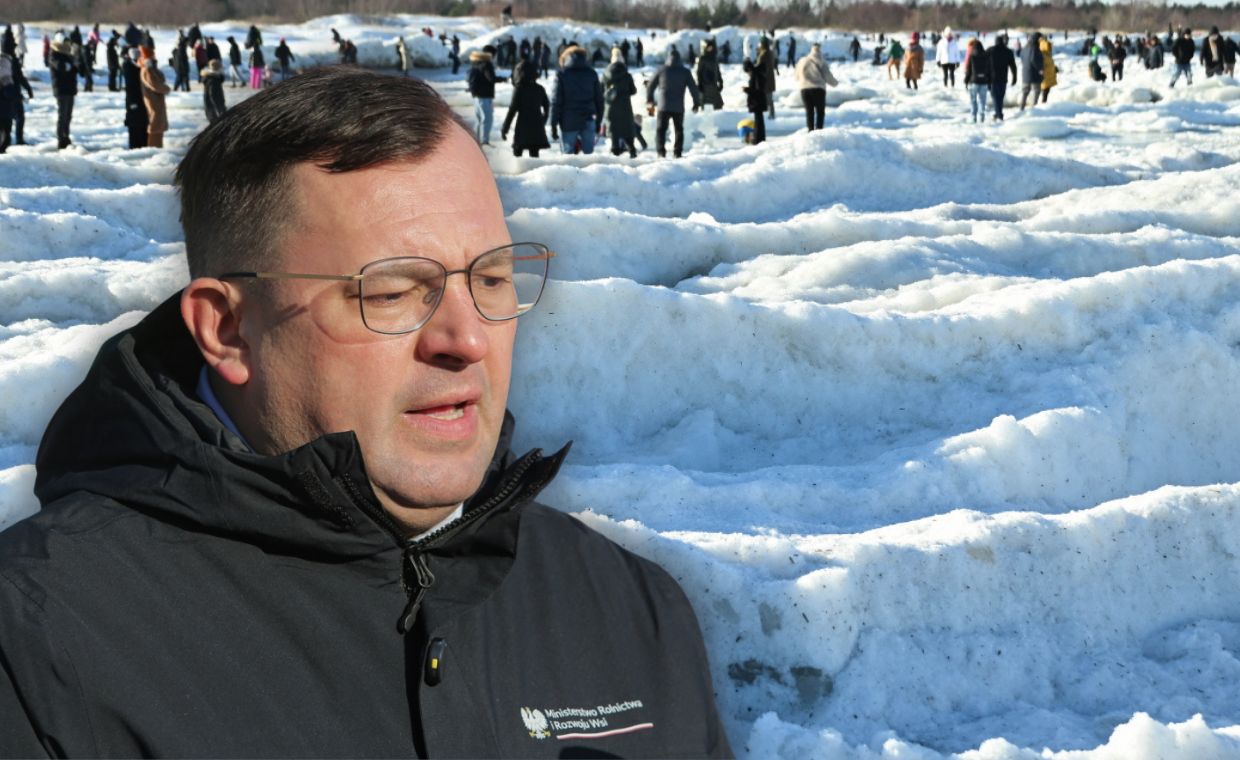 "Jest problem". Mróz doprowadzi do kulminacji strat w rolnictwie?