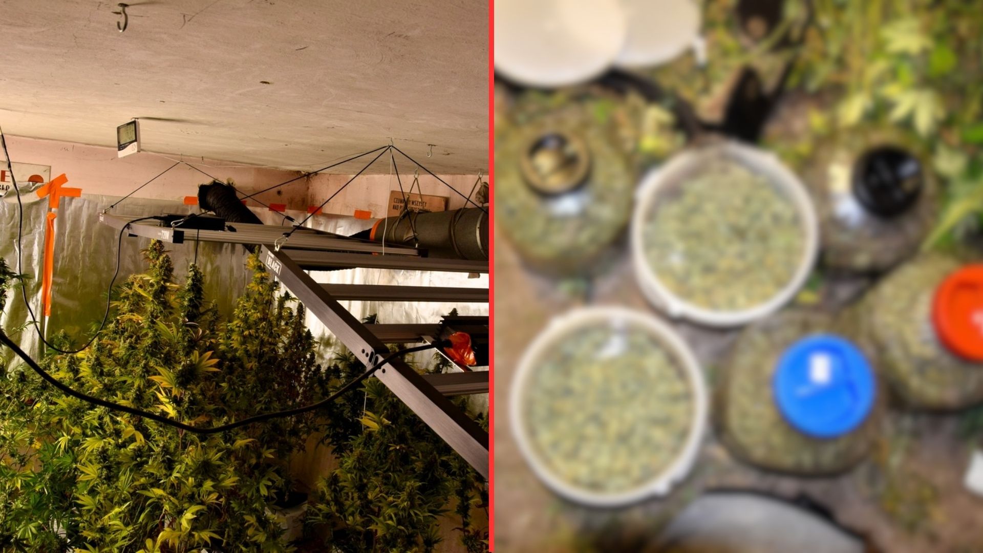 Znaleźli sekretne pomieszczenie. Ogromne odkrycie w piwnicy