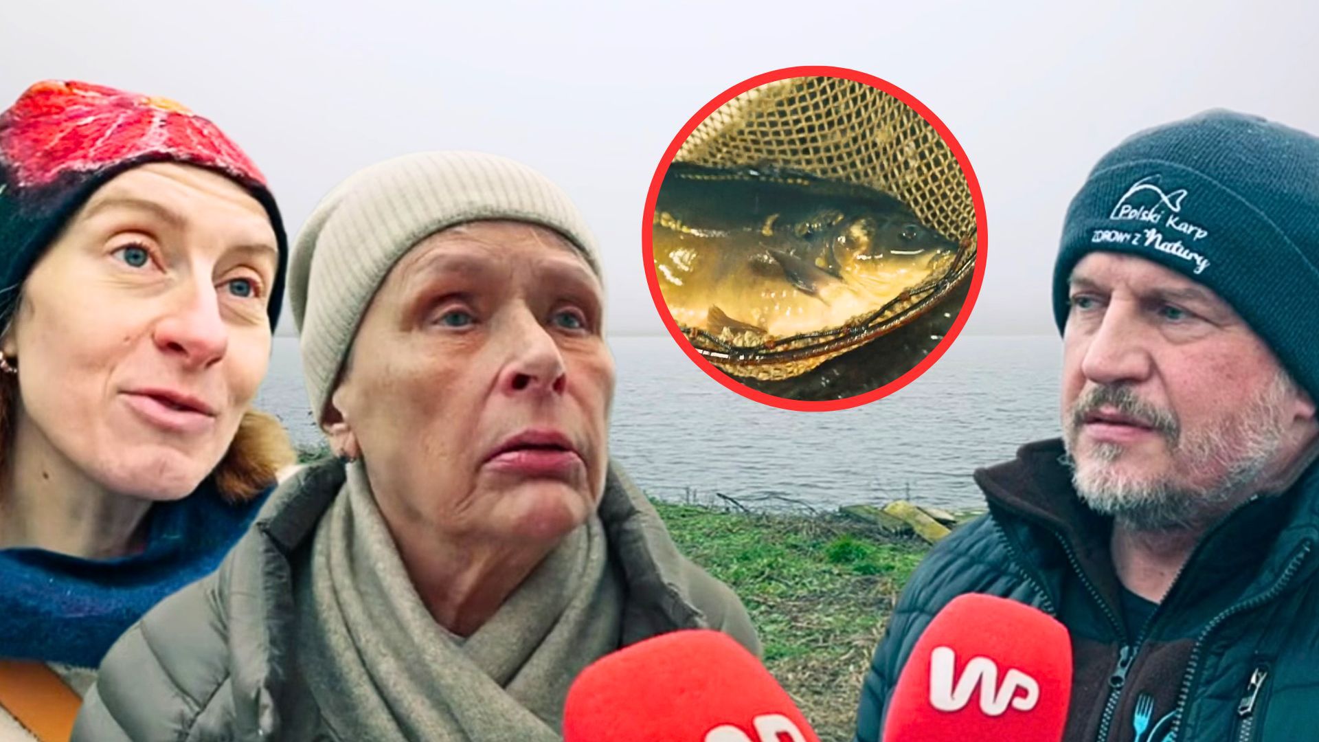 Karp knyszyński z Podlasia. Jest wyjątkowy, inny niż wszystkie