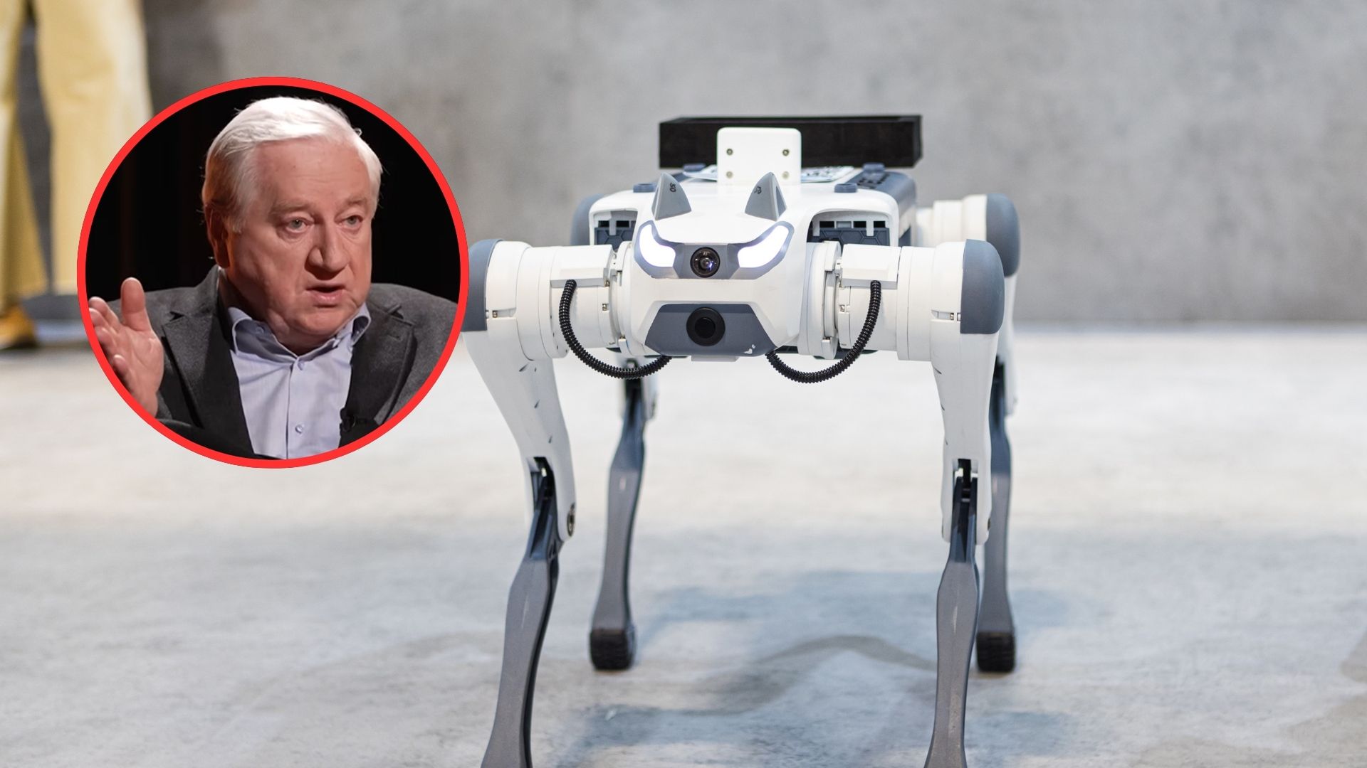 Chiny tworzą armię robo-psów. Prof. Góralczyk o robotyce na polu bitwy