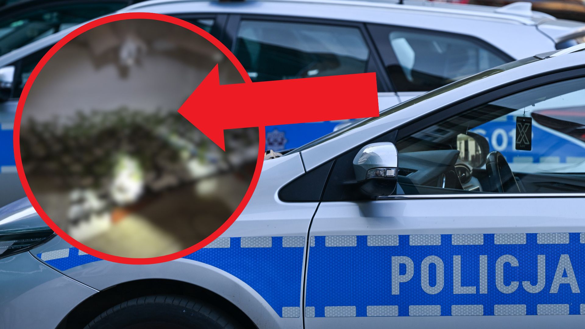Piwnica pełna niespodzianek. Poruszenie po odkryciu w domu 59-latka