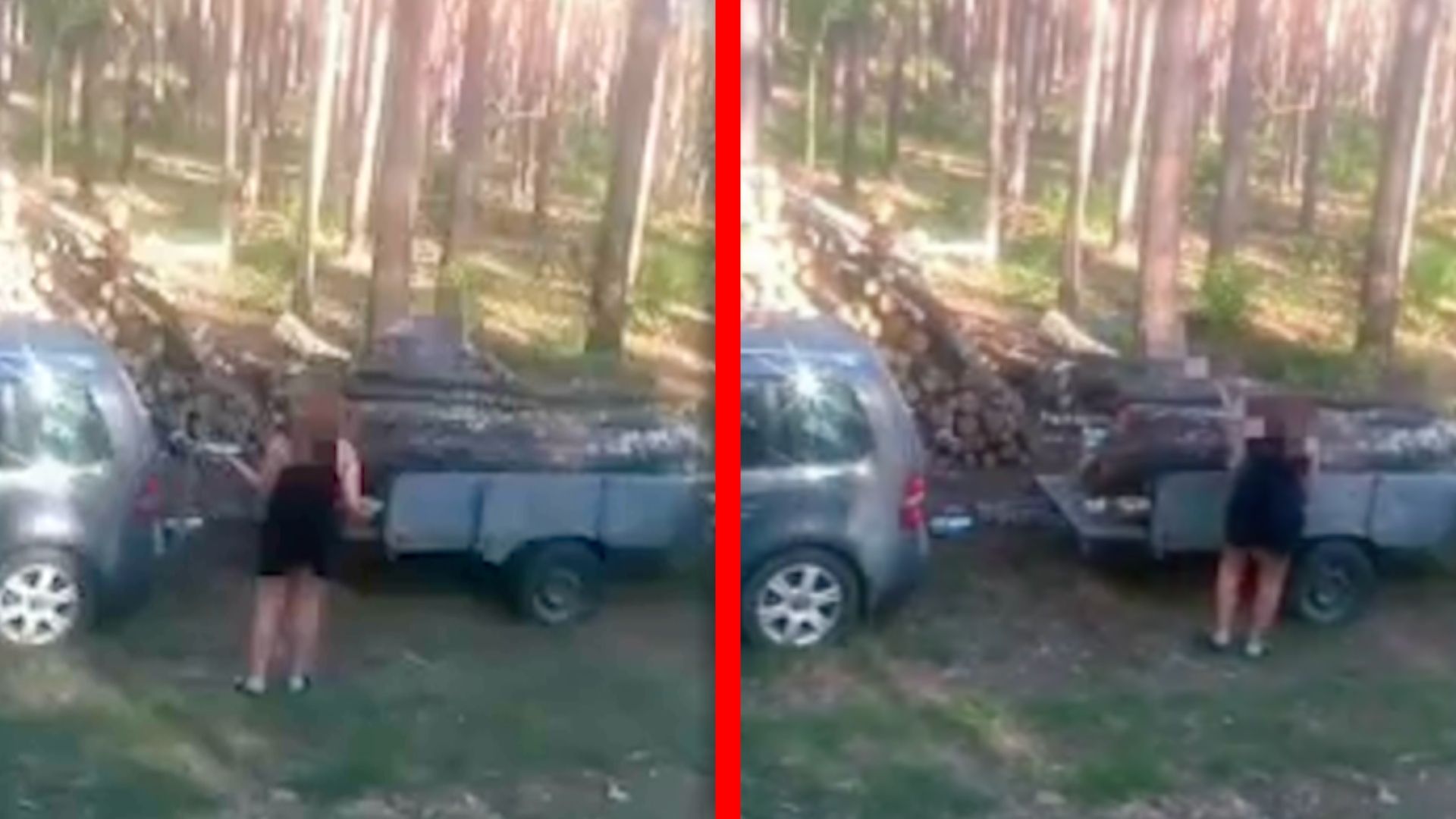 Myśleli, iż nikt ich nie widzi. Kamera w lesie wszystko nagrała