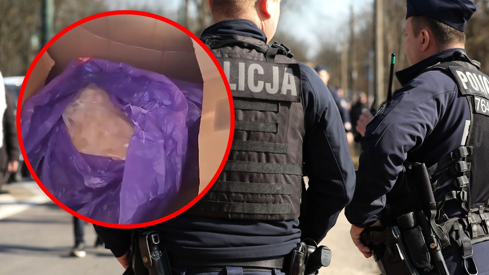 Weszli na posesję. Potężna skala odkrycia pod Ełkiem