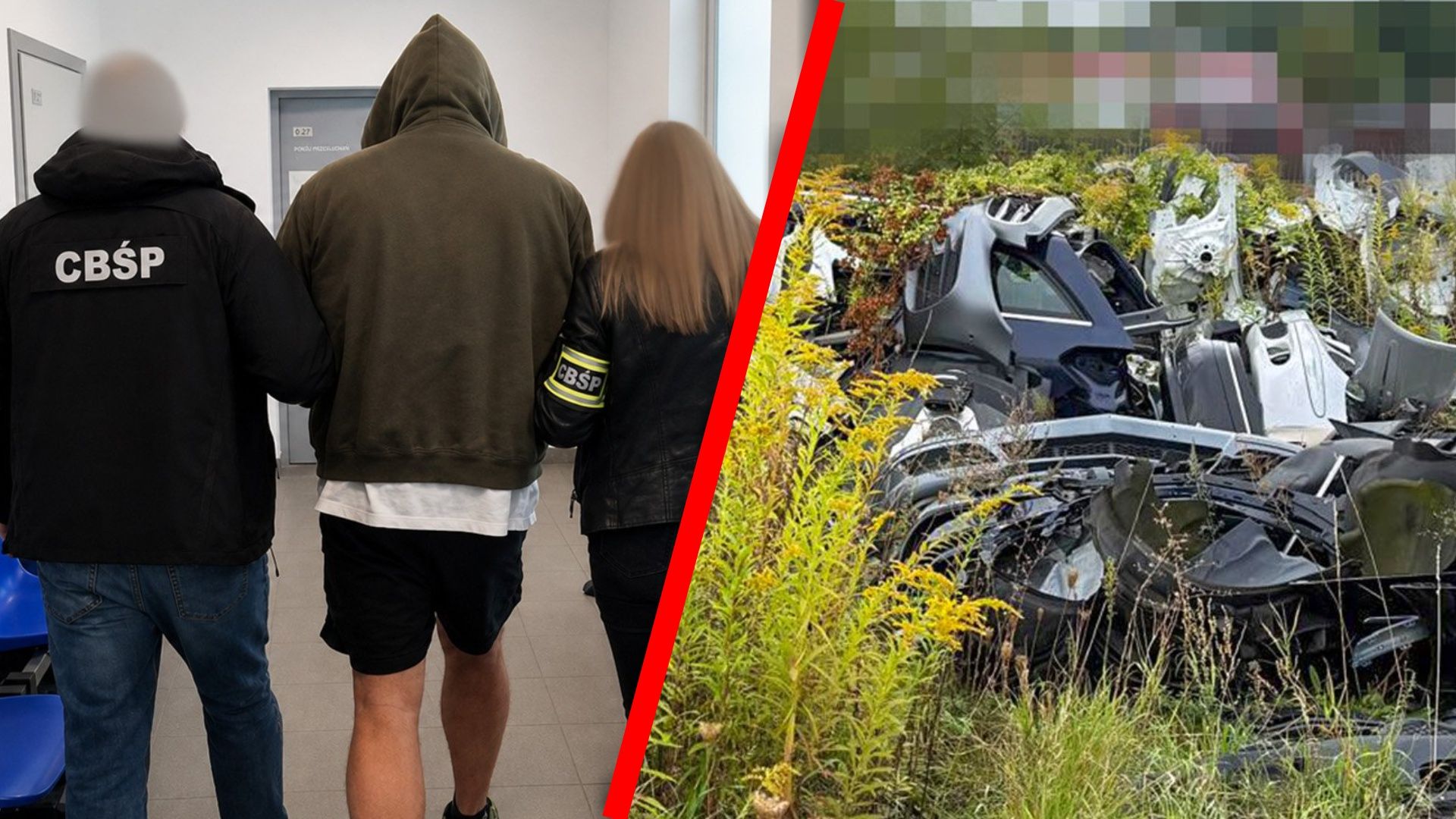 Tak mieli zarobić miliony. Kradli auta i rozkładali je na części