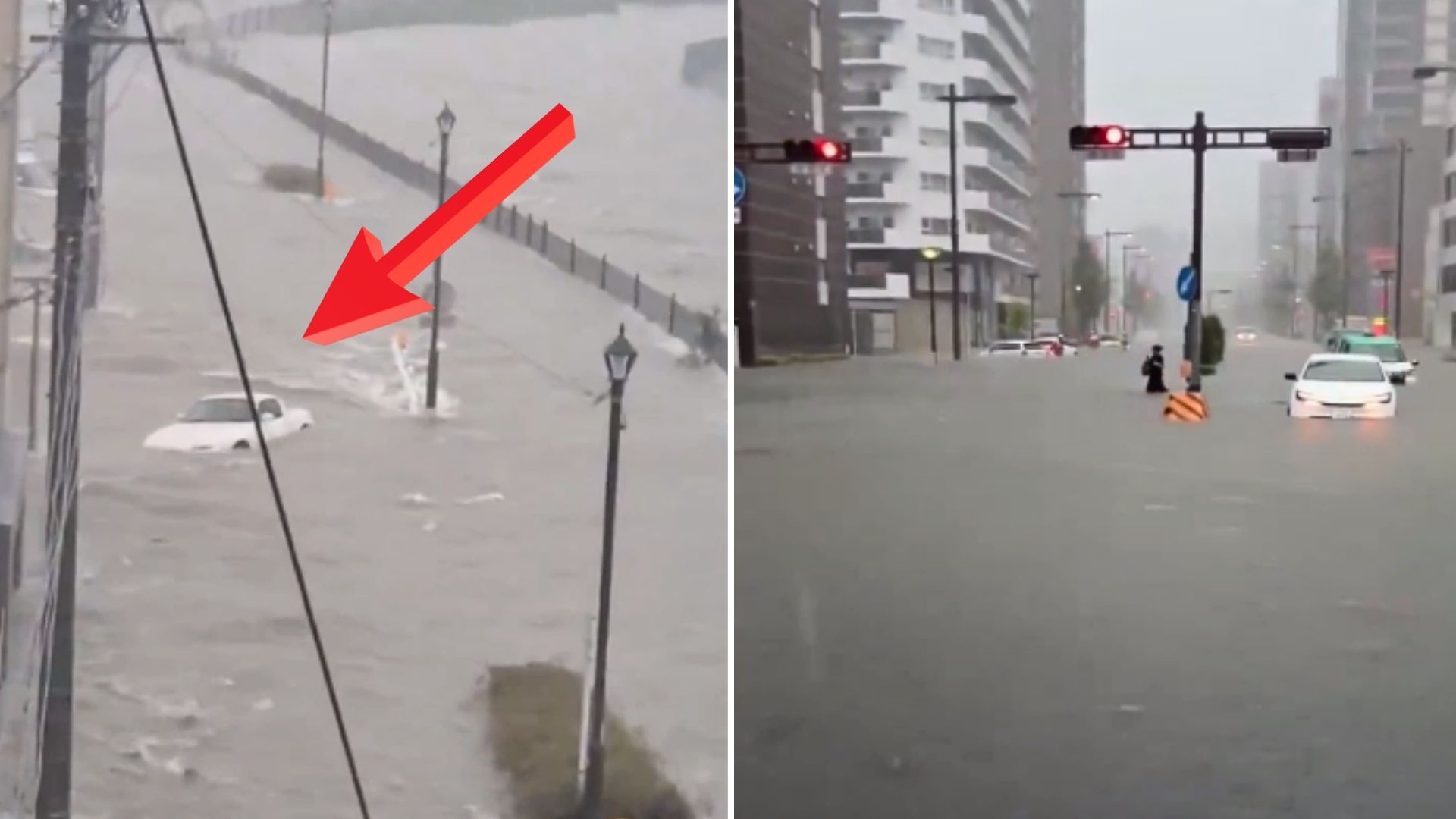 Sceny jak z filmu. Apokaliptyczne obrazki po ulewach w Japonii