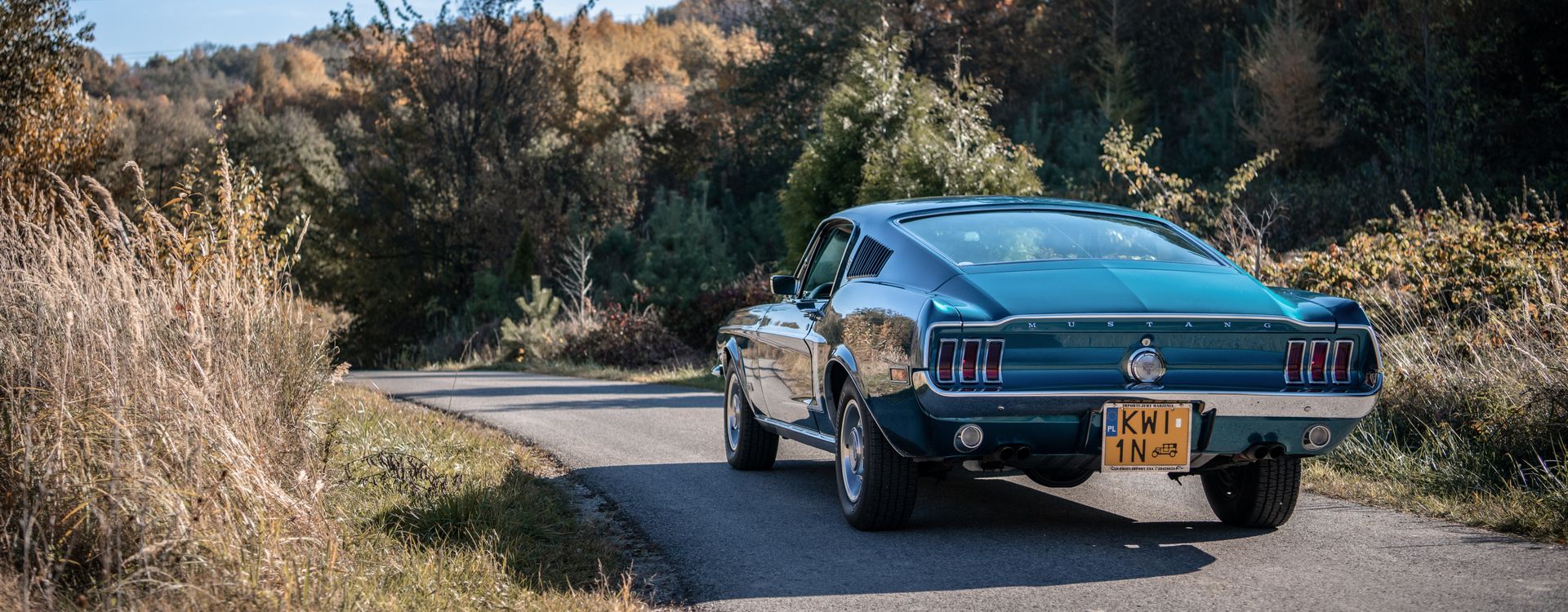 Ford Mustang GT Fastback 1968