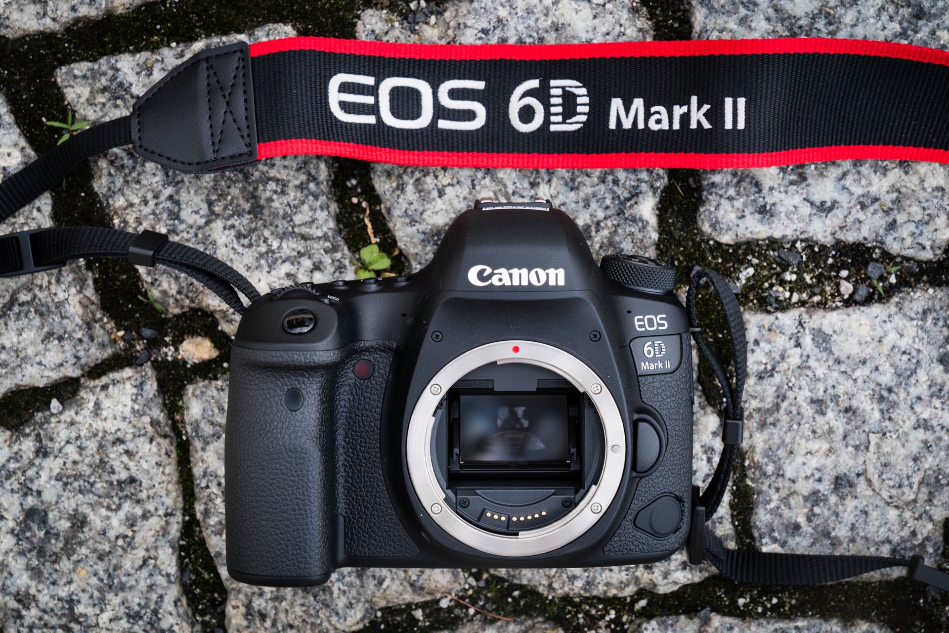 Canon 6d mark купить. Canon EOS 6d Mark II. Canon EOS r6 Mark II. Canon 6d Mark 2.