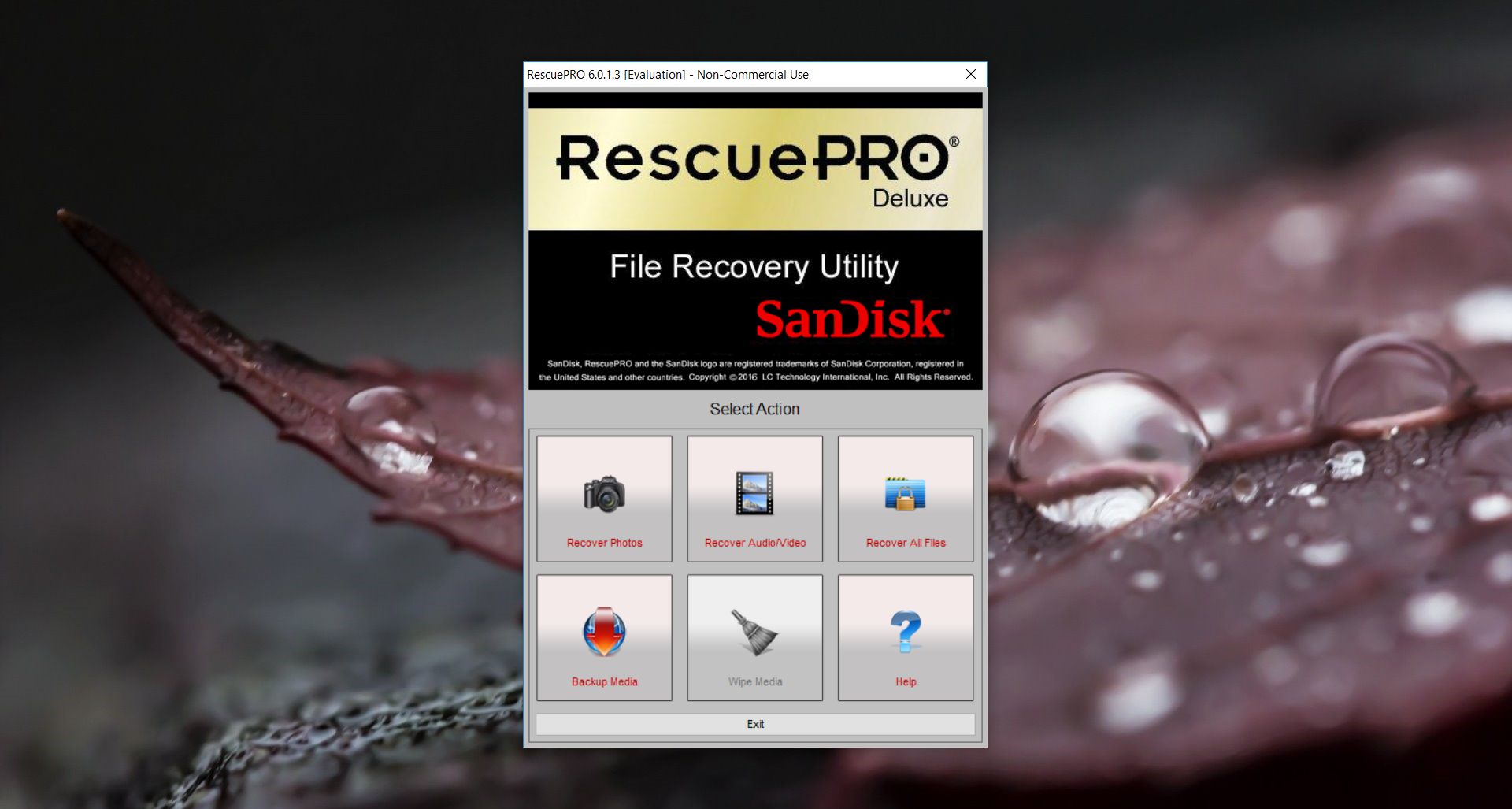 SanDisk RescuePRO Deluxe 7.0.2.2 - dobreprogramy