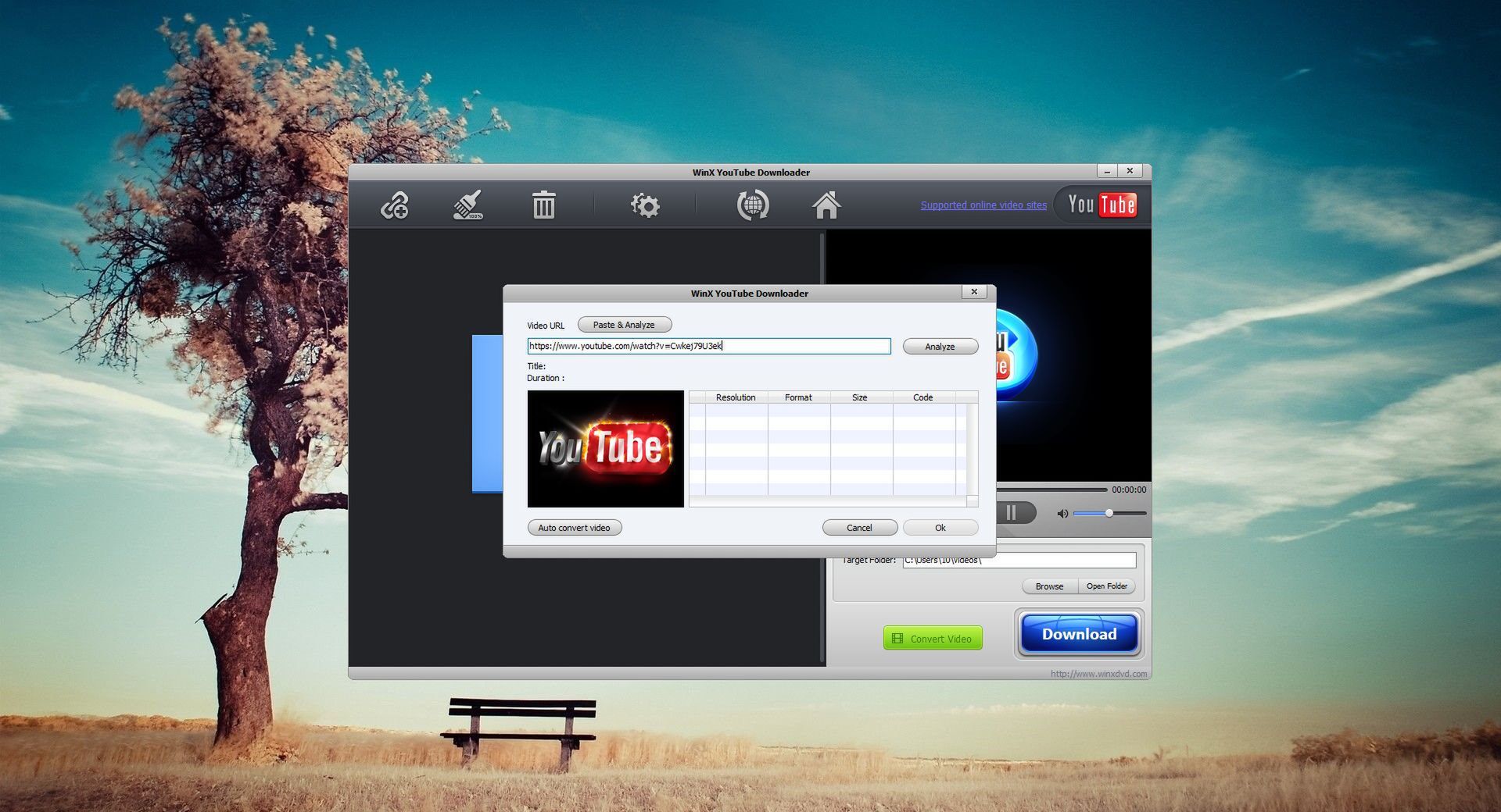 Ютуб где есть все. Winx youtube downloader.