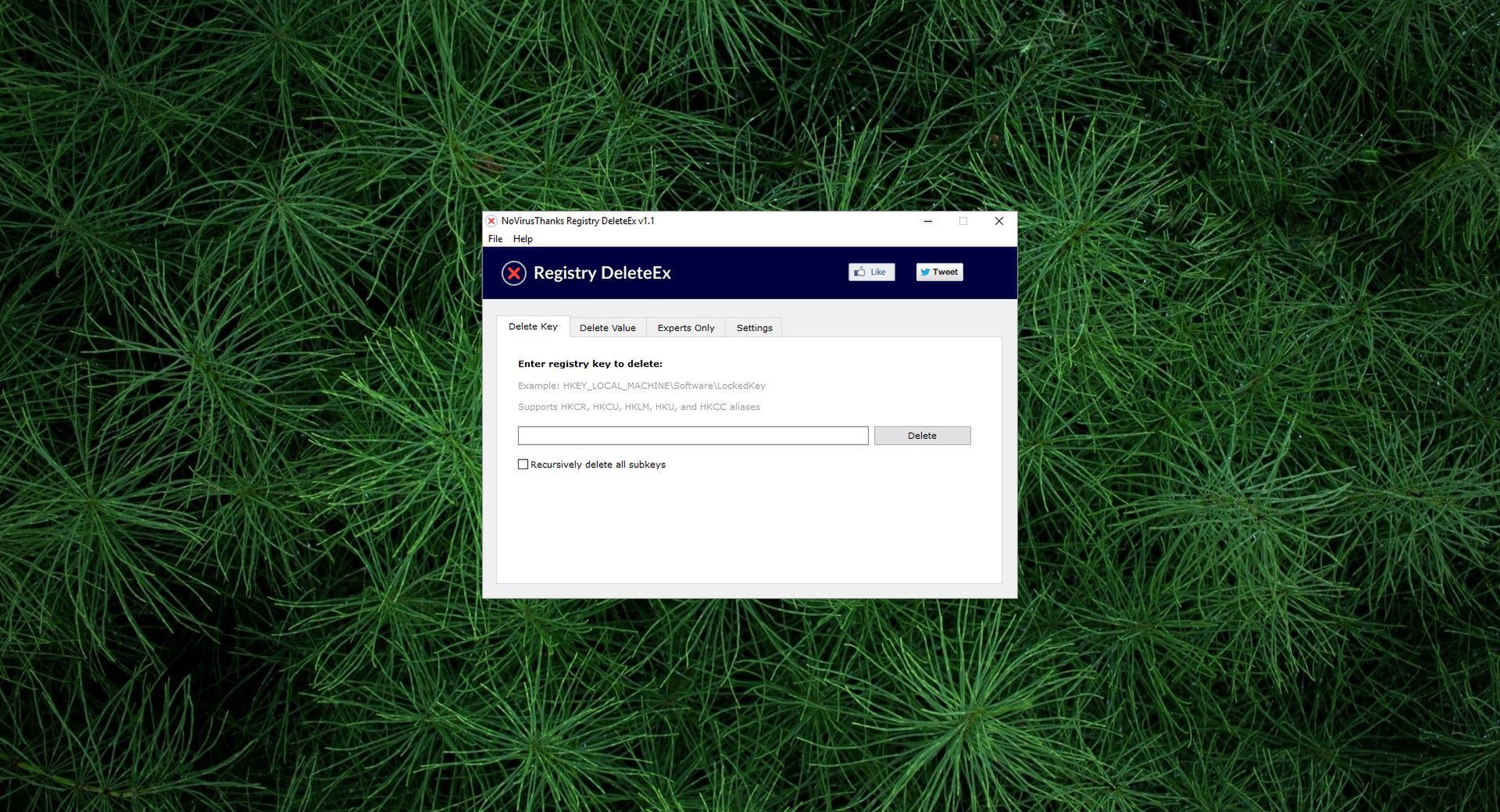 download NoVirusThanks Registry DeleteEx 1.1