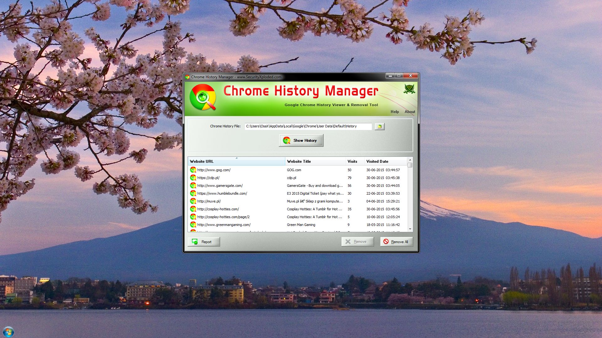 Chrome History Manager 3.0 dobreprogramy