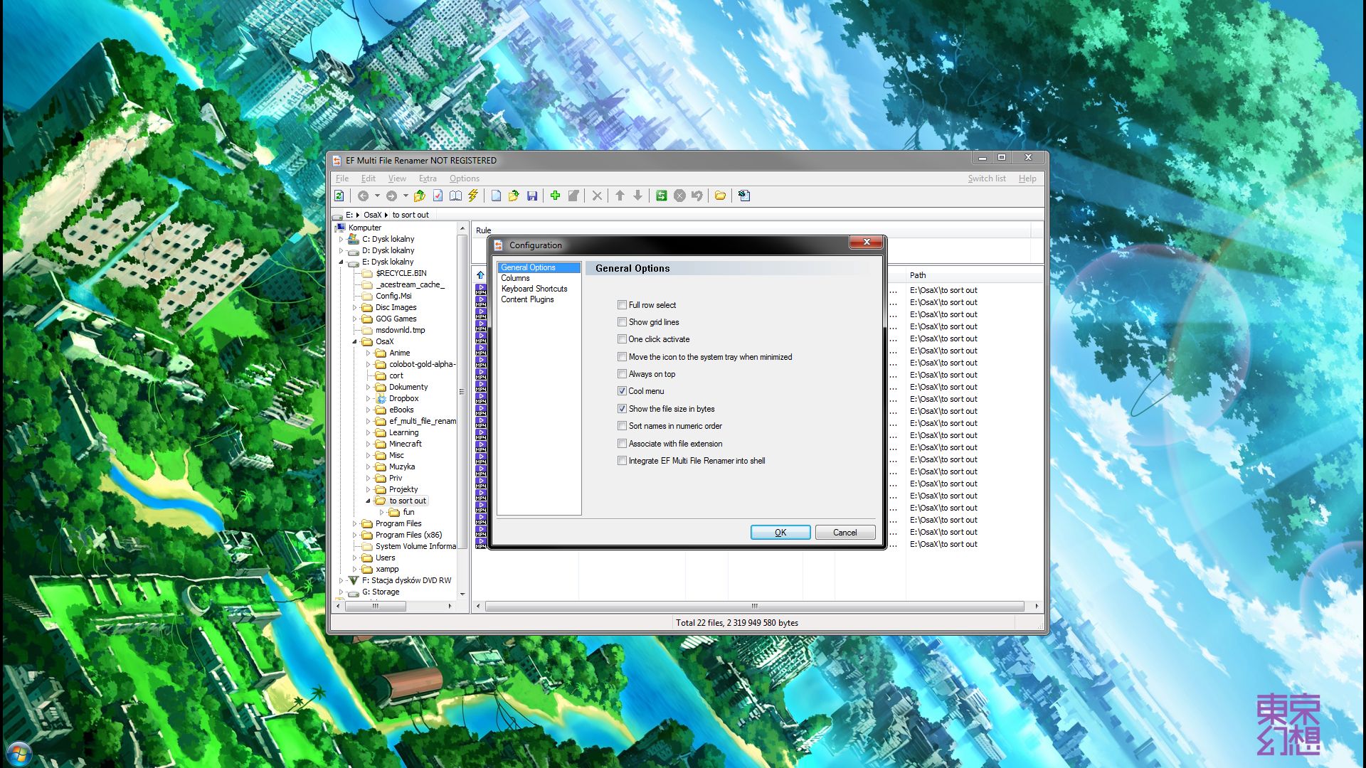 ef multi file renamer