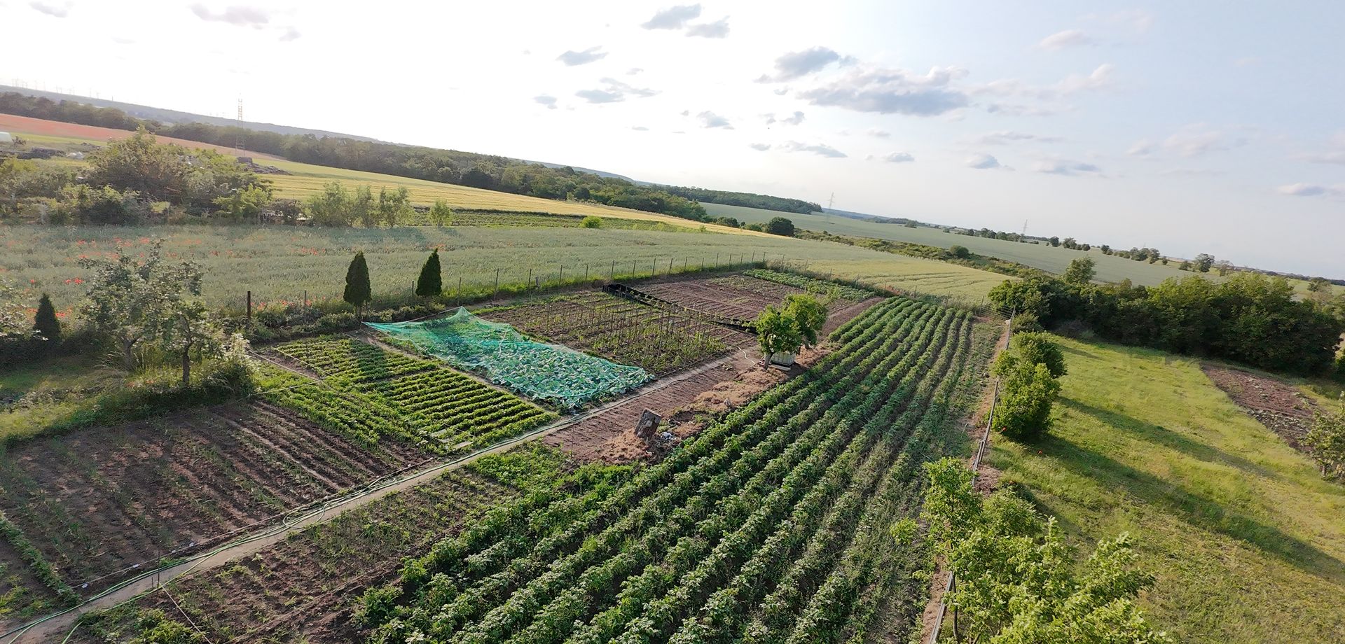 Farma Pamięcin