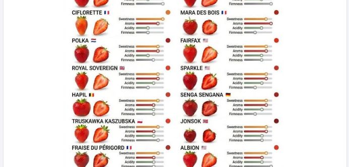 Zestawienie truskawek na TasteAtlas