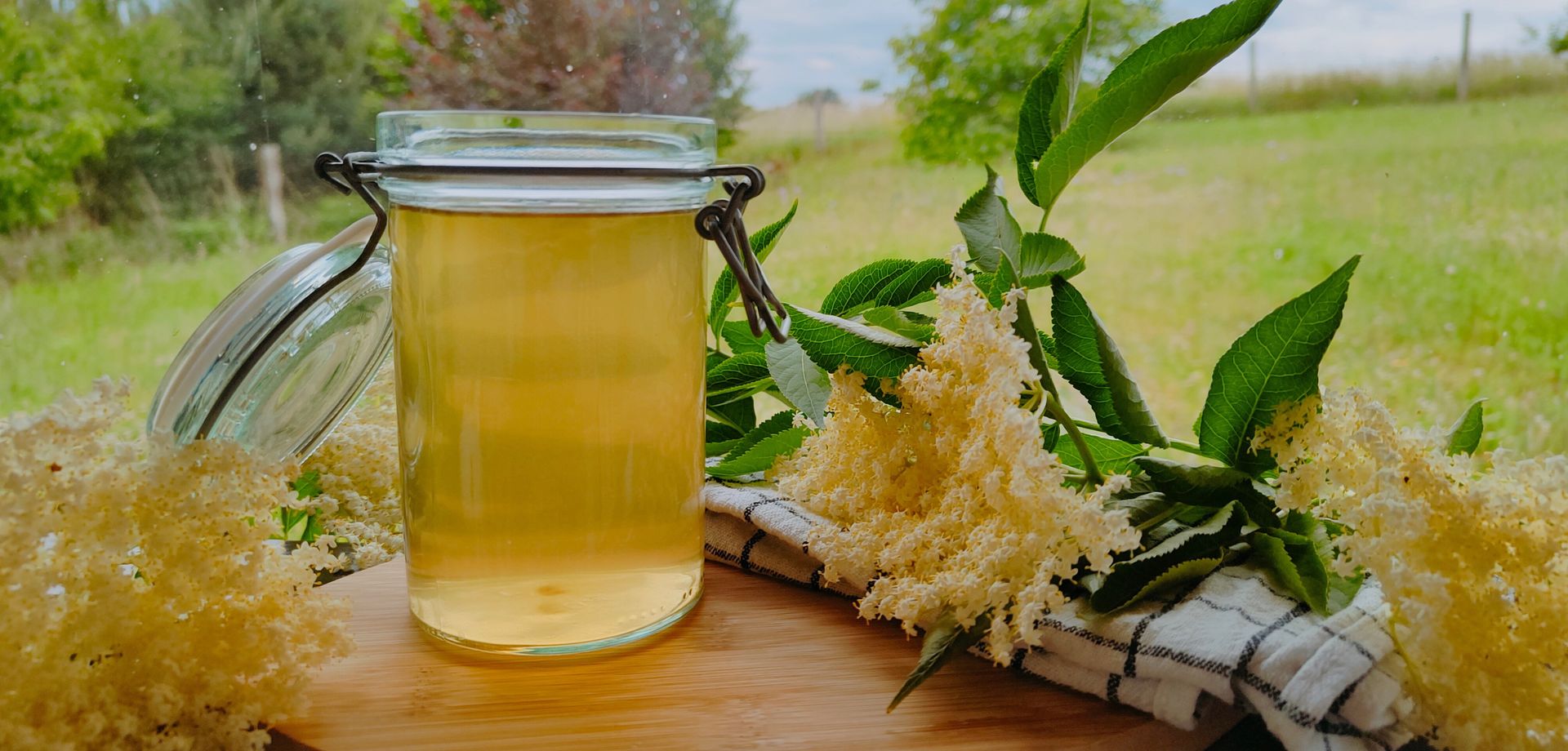 Hycka - naturalny syrop z kwiatów czarnego bzu
