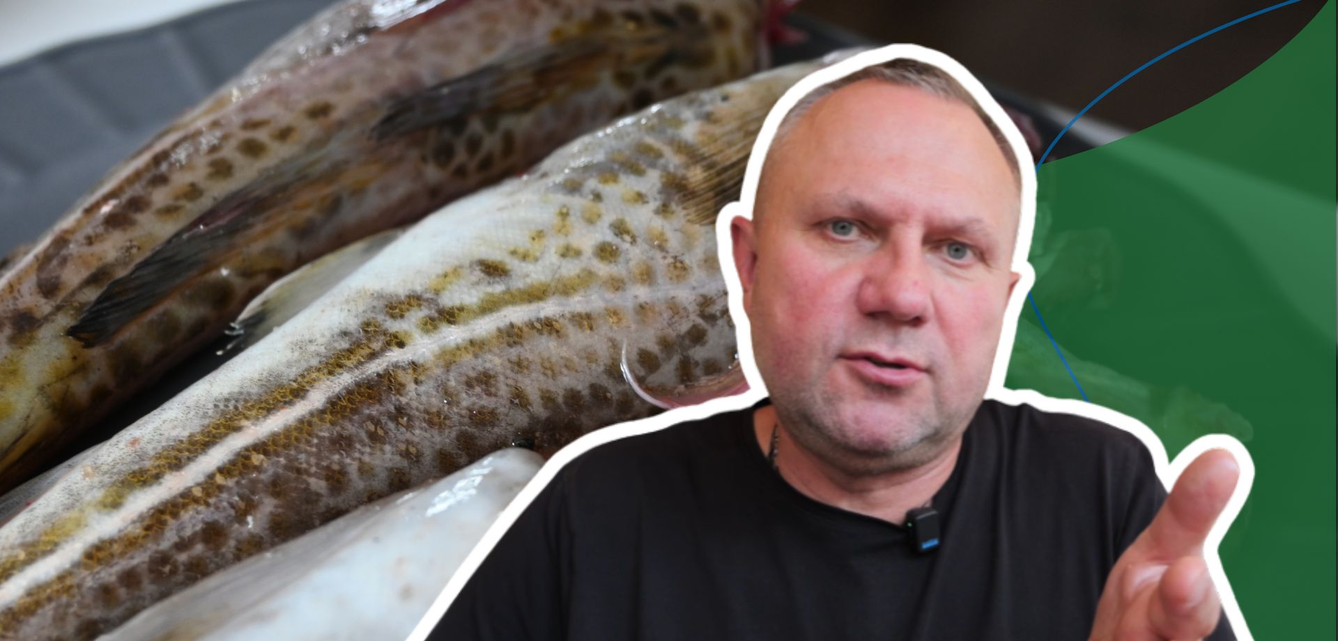 Tomasz Strzelczyk obnażył prawdę o dorszach w smażalniach