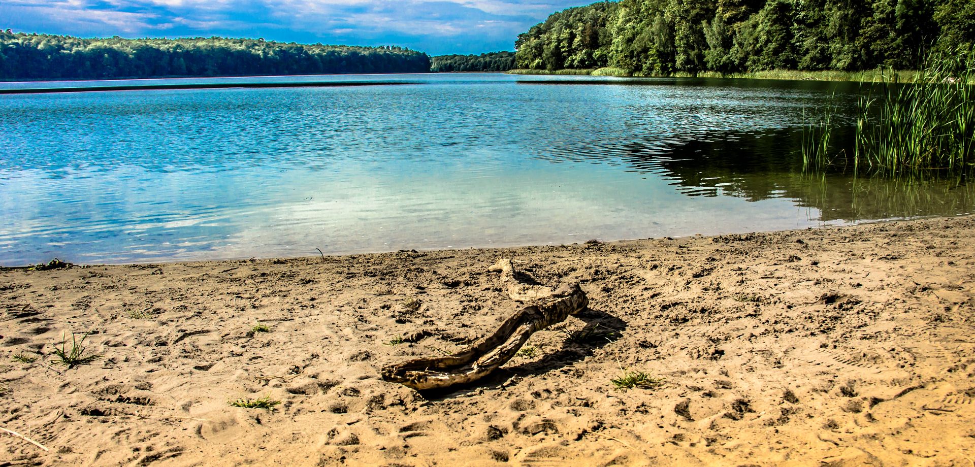 Jezioro Góreckie w Wielkopolskim Parku Narodowym