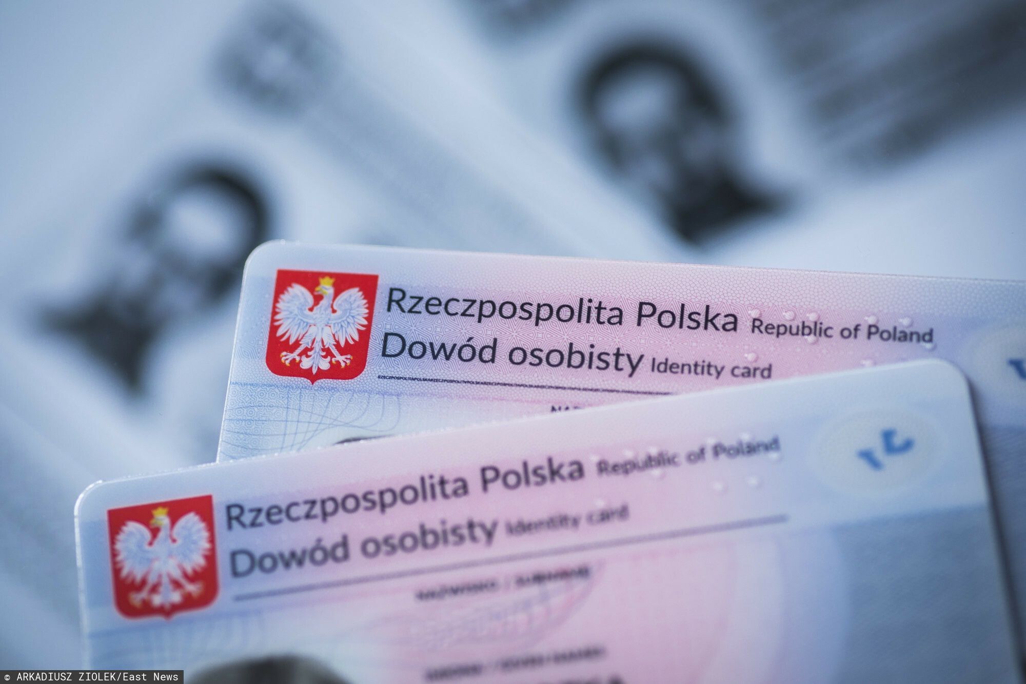 Narodowy Spis Powszechny. To ostatni moment, by uniknąć kary - Vimarsana News