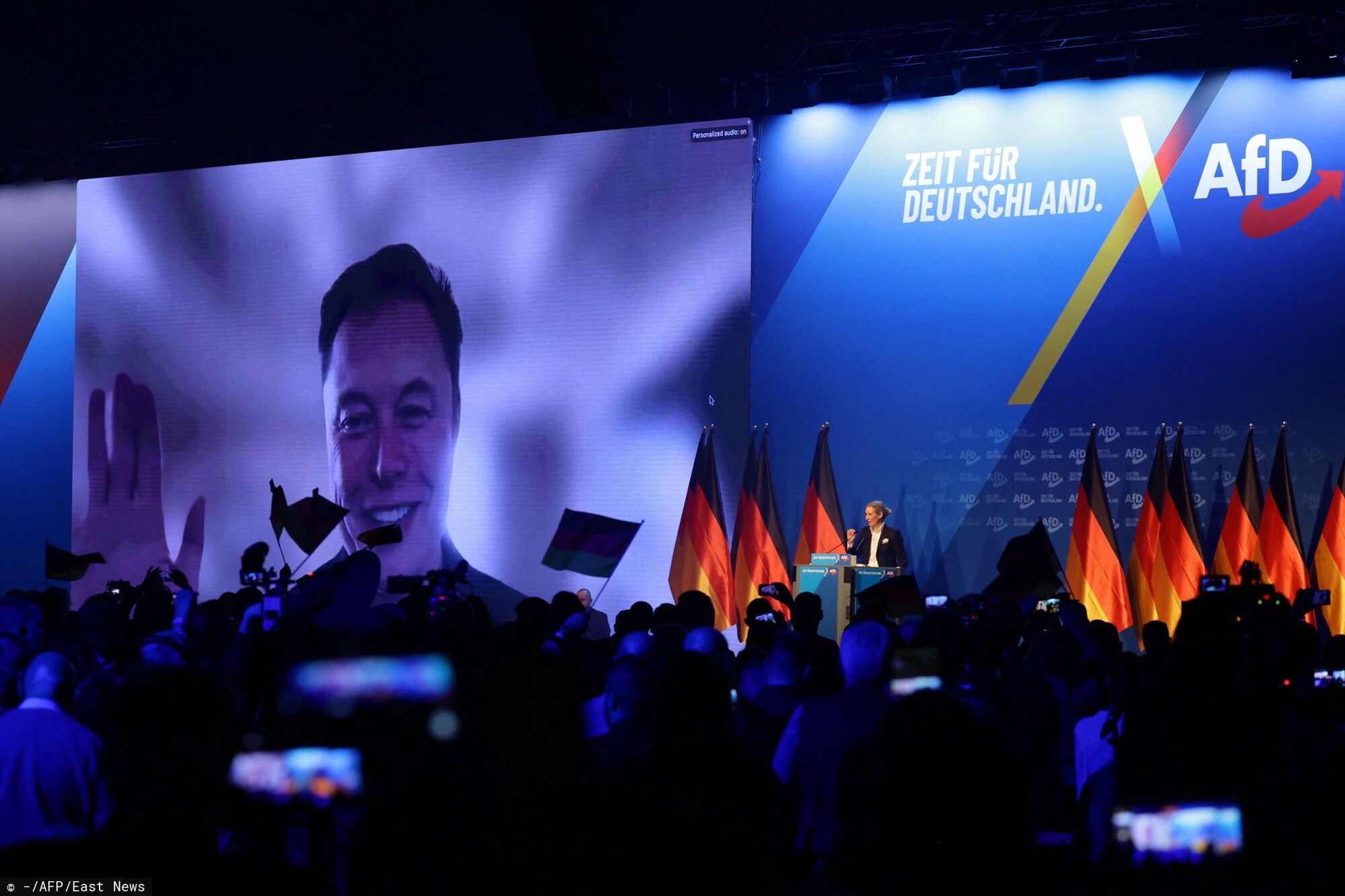 Elon Musk backs Germany's AfD, urging national pride