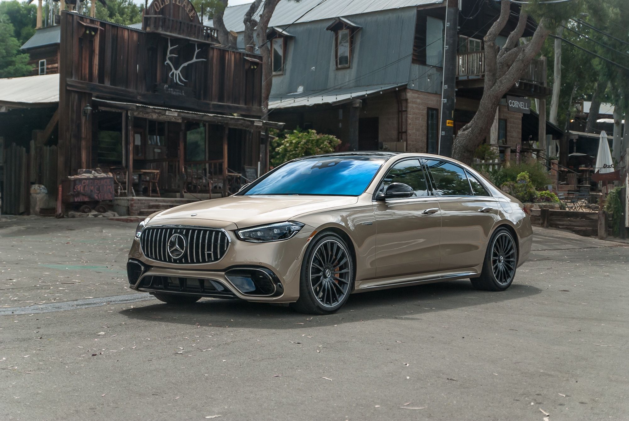 Mercedes-Benz S63 AMG E Performance (2023) - picture 9 of 135