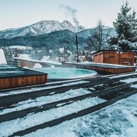 wellness