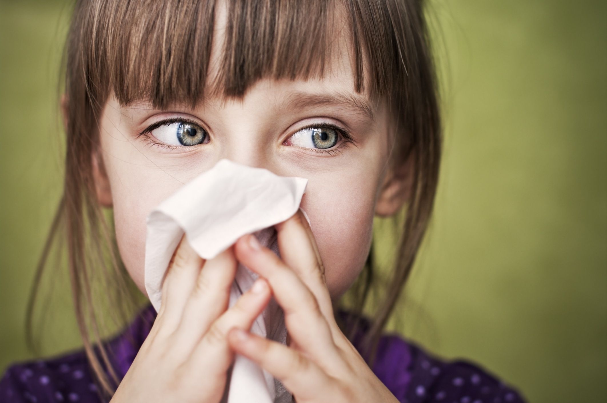Cleaning nose
Little sick girl cleaning her nose
Imgorthand
Allergy, Babies And Children, Beautiful, Beauty And Health, Blond Hair, Blowing Nose, Caucasian, Child, Childhood, Cleaning, Close-up, Cold And Flu, Cute, Elementary Age, Front View, Green, Head And Shoulders, Healthcare And Medicine, Home Interior, Horizontal, Human Face, Human Nose, Hygiene, Illness, Indoors, Kids Health, Lifestyle, Little Girls, Medicine, One Person, Preschooler, Purple, Real People, Red, Sadness, Selective Focus, Serious, Sick Kid, Sideways Glance, Small, Sneezing, Tissue, Unwell, Viral Infection