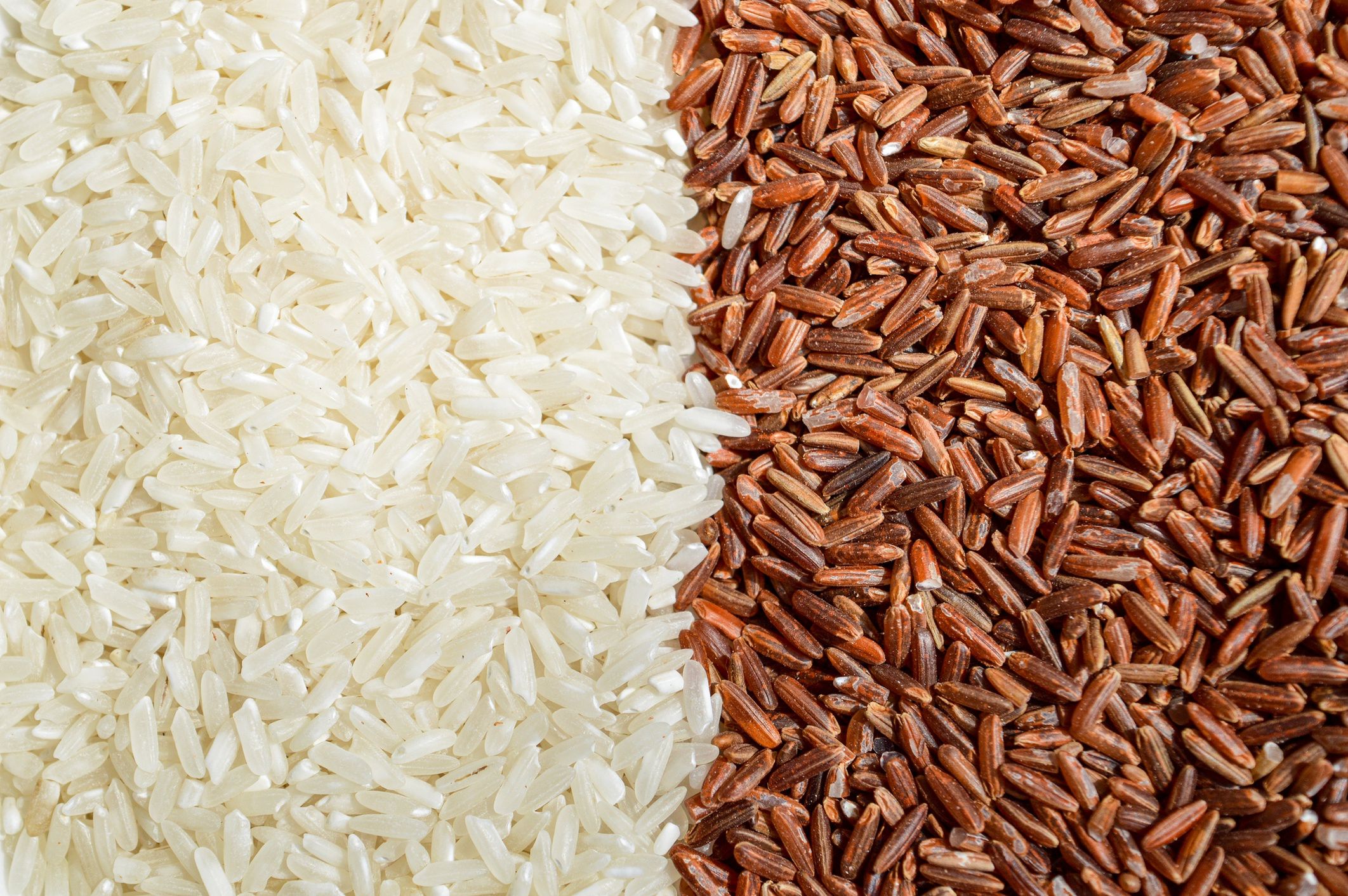 Exploring the world of rice. White, brown, black or red which is the