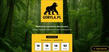 Goryla.pl chce powalczyć z Allegro, Amazonem, Temu