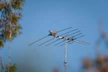 Antena do naziemnej telewizji cyfrowej