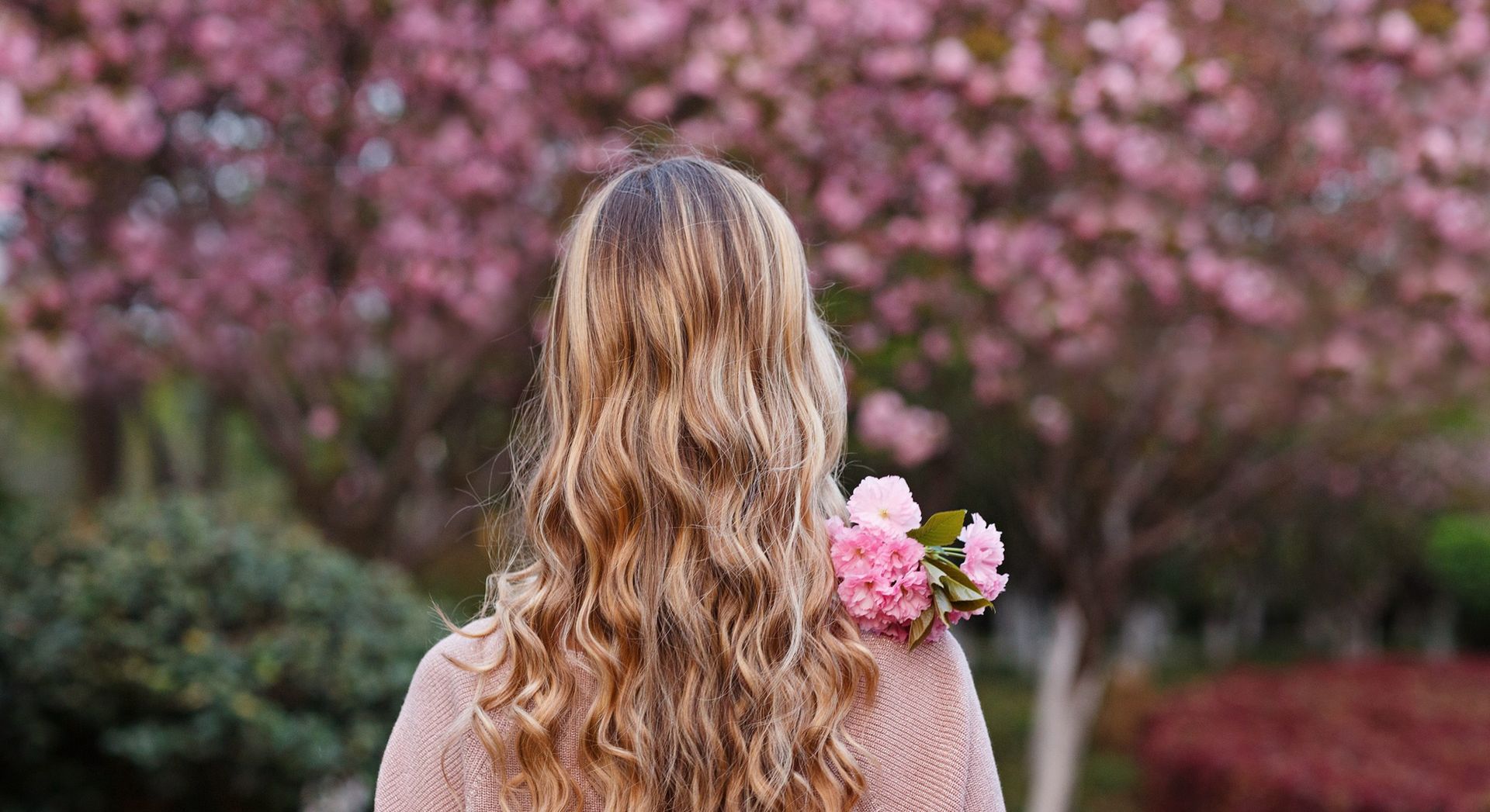 Beautiful young woman with long curly blonde hair from behind holding blooming branch of sakura tree
Woman holding branch of sakura tree in the park
flower, girl, happy, spring, woman, young, beautiful, blossom, sakura, garden, nature, cherry, hair, attractive, tree, beauty, bloom, blooming, female, model, portrait, park, smile, green, long hair, person, summer, fashion, floral, happiness, aroma, lifestyle, pretty, relaxation, sexy, style, enjoyment, fun, glamour, blonde, sensual, curly hair, closed eyes, pink background, sun, behind, hairstyle, long, back, salon