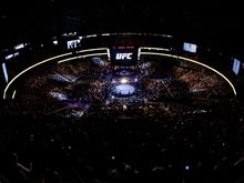Kolejne wyróżnienia dla Polaków w UFC
