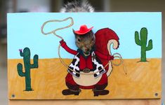 Były inżynier NASA zbudował budki fotograficzne dla wiewiórek. Wyszło świetnie!