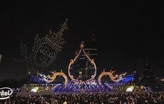 Będą liczyć zmarłe w sylwestra ptaki. Cierpienie zwierząt od dawna może powstrzymać technologia