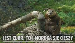 "Mordka się cieszy" w nowej reklamie Żubra