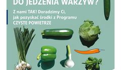 PGNiG promuje program "Prosto po czyste powietrze"