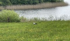 Świat potrzebuje 8,1 bln dolarów inwestycji w przyrodę