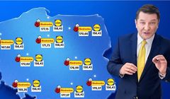 W internecie najmocniej reklamowane sklepy. Farmaceutyki "rządzą" w telewizji